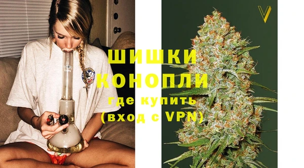 прущие грибы Майский
