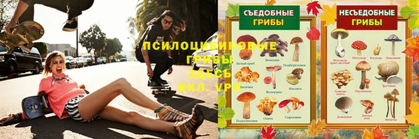прущие грибы Майский