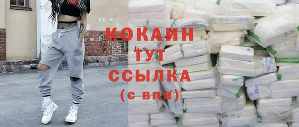 прущие грибы Майский