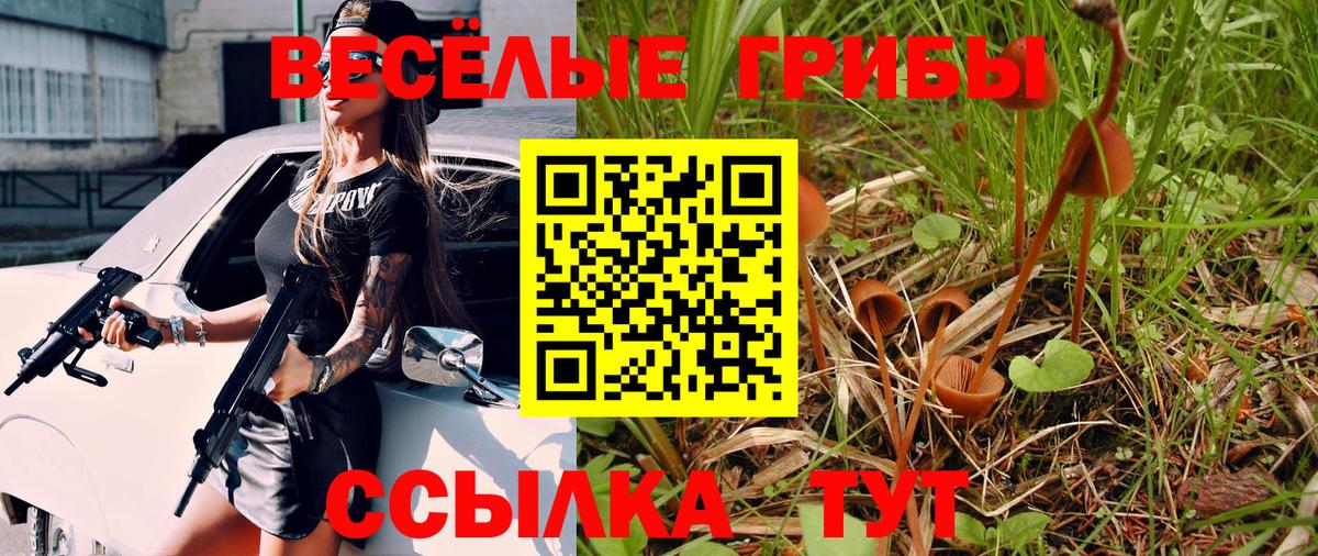 Галлюциногенные грибы Psilocybine cubensis  где можно купить наркотик  Северобайкальск  Вход с VPN 