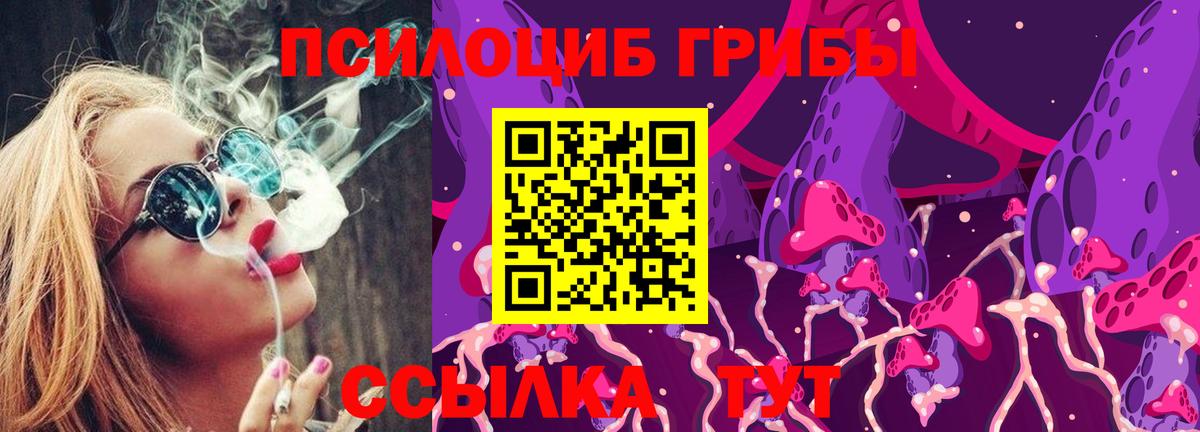 Псилоцибиновые грибы мицелий Северобайкальск