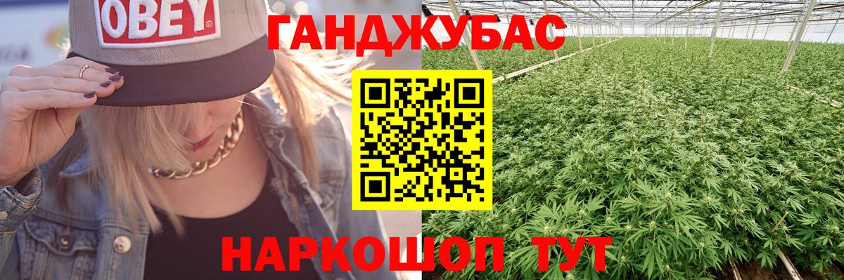 Бошки Шишки Северобайкальск